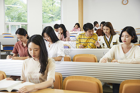 教授和大学生讨论问题图片