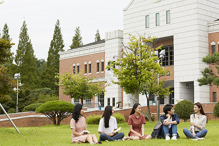 坐在校园草坪上聊天休息的青年大学生图片