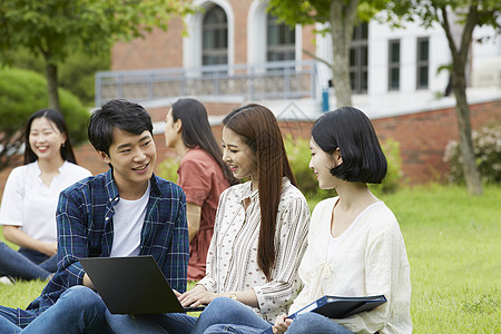 户外草坪上讨论课题的大学生图片