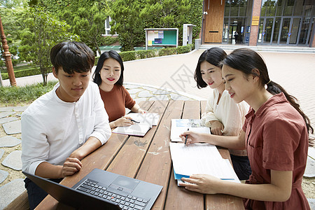 看着笔记本的青年大学生图片