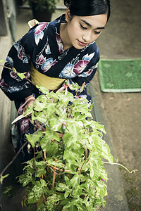 穿和服的美丽女青年图片