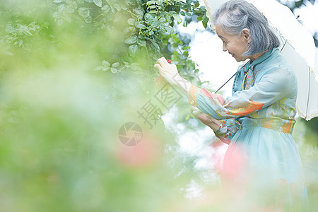 拿着一把伞的老年妇女在庭院里看花图片