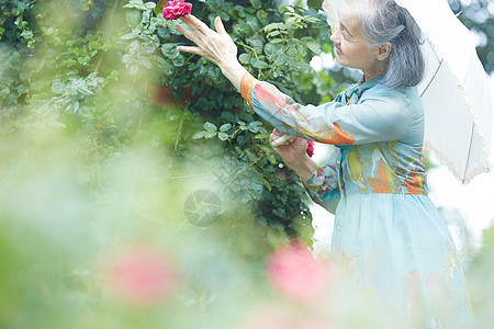 拿着一把伞的老年妇女在庭院里看花图片