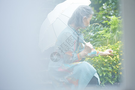 拿着遮阳伞的老年妇女在庭院里摘花图片