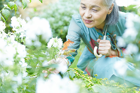 在院子里撑伞的老年阿姨图片