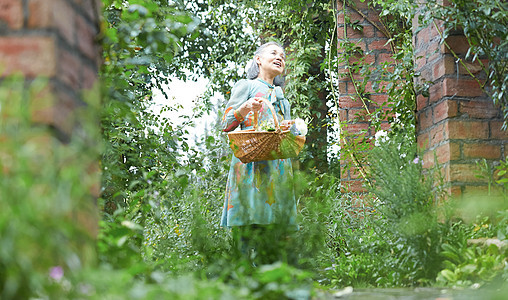 诗句欢快女生采摘花的资深夫人在庭院里图片