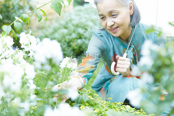 花园里拿着遮阳伞的老年人图片