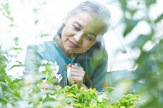 庭院里的老年女性图片