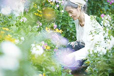 庭院里施肥浇花的老年人图片