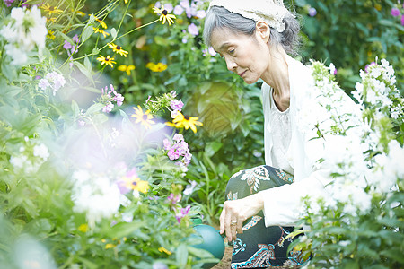 庭院里浇花的老年女性图片