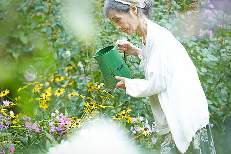 庭院里浇水的老妇人图片