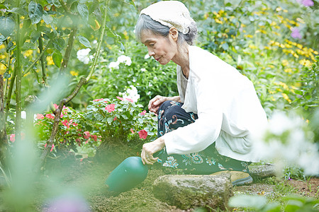 庭院里种花施肥的老年人图片