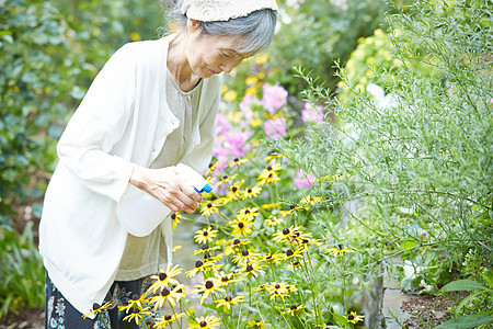 植物60多岁快乐高级女人浇水图片