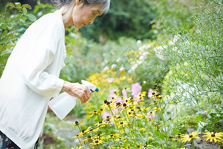 花园里浇水的老妇人图片