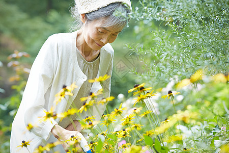 花园里浇水的老妇人图片