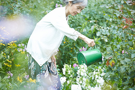 花园里浇花的老年女性图片