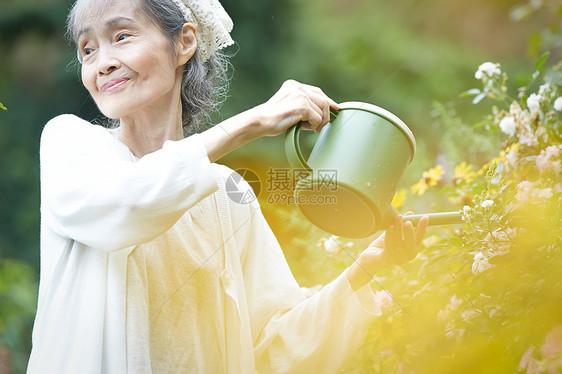 花园里浇水的老年女性图片