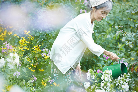 花园里拿着水壶浇水的老年女性图片