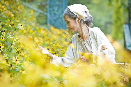 花田里年老的女性图片