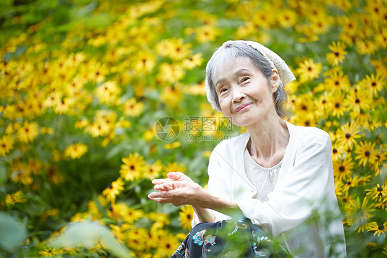 坐在花田的老年女性图片