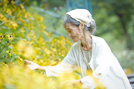 老年妇女在庭院里赏花图片