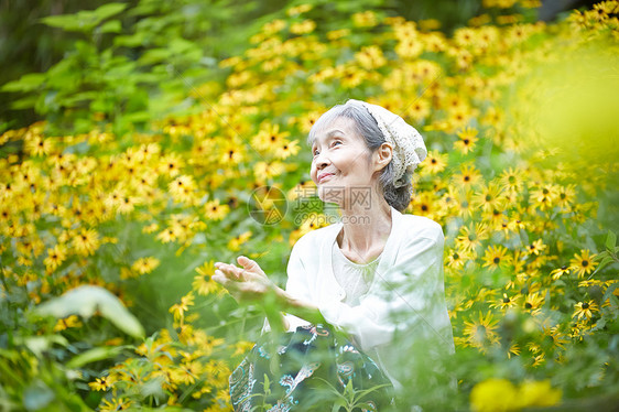 在花田的老年妇女图片