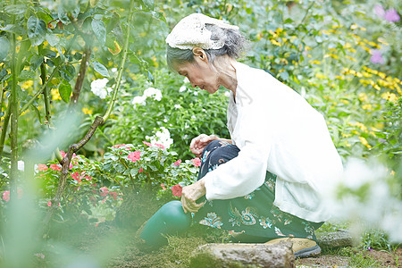 做园艺的老年妇女图片