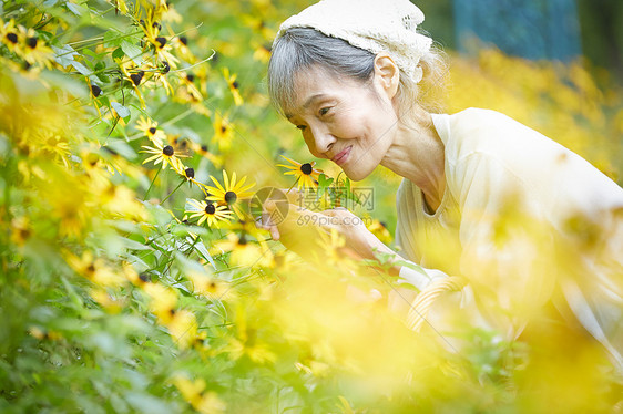 庭院里老人闻花香味图片