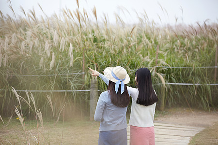 花丛中的女孩图片