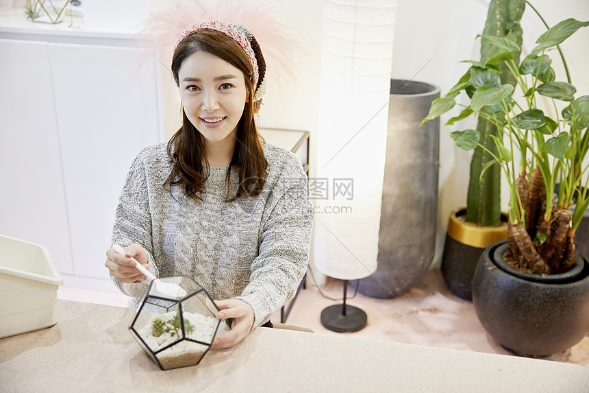 制作多肉盆栽的成年女子高清图片下载 正版图片 摄图网
