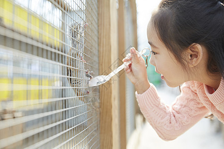 勺子女生分庭律师孩子女孩松鼠图片