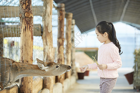 生物小孩幸福孩子女孩经验鹿图片