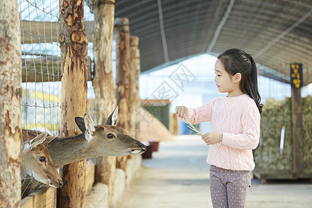 国大学生非常小孩子女孩经验鹿图片