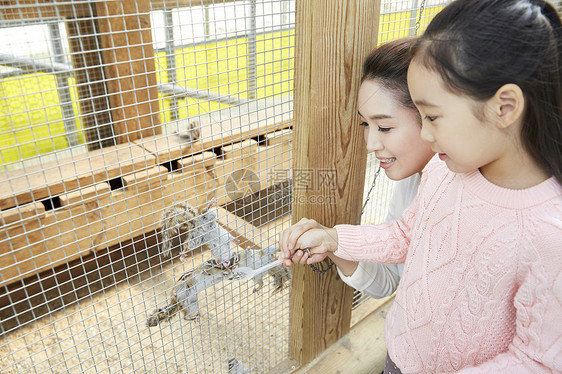 母女在农场里体验喂松鼠图片