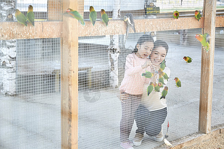 母女在农场里体验喂鹦鹉图片