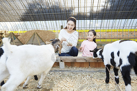 母女在农场里体验喂羊图片