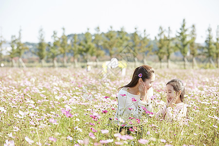 秋天季秋天开的花母亲女儿公园图片