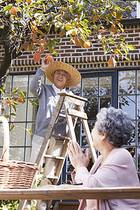 幸福快乐的老年人在院子里的生活图片