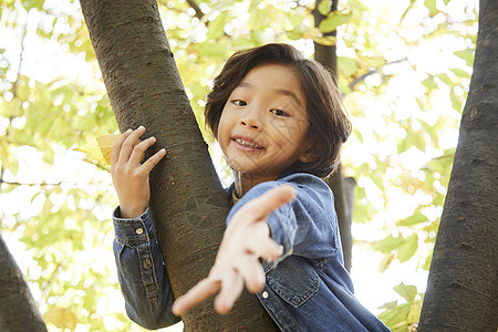 小男孩爬在树上图片