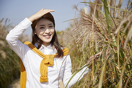 户外芦苇丛中年轻女青年图片