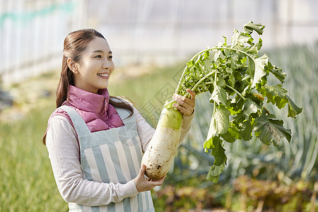 一家人在蔬菜大棚挑选蔬菜图片