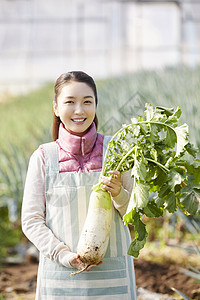 一家人在蔬菜大棚挑选蔬菜图片