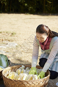 女人制备食材图片