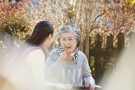 制作泡菜的老奶奶和女人图片