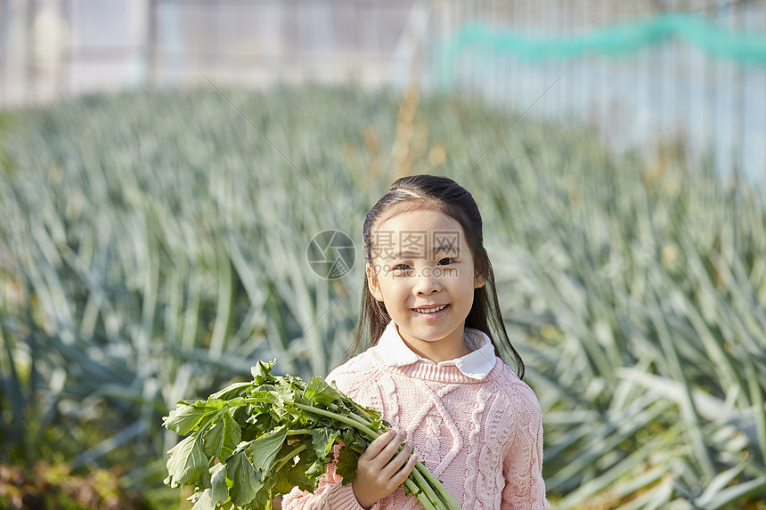 举着大白萝卜的小女孩图片