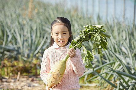 举着大白萝卜的小女孩图片