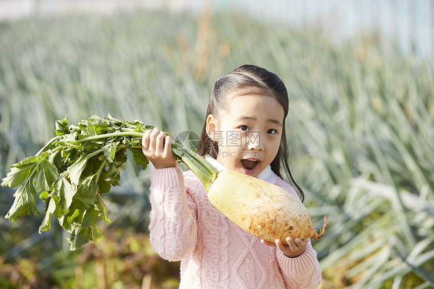 举着大白萝卜的小女孩图片