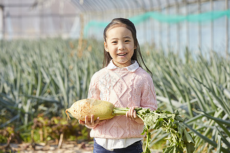 举着大白萝卜的小女孩图片