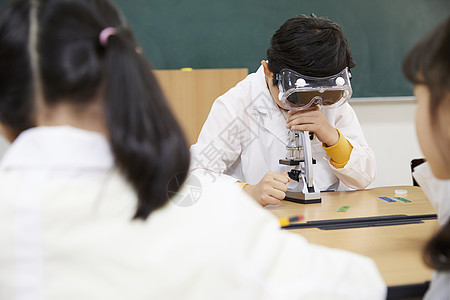 小学生用显微镜做实验图片