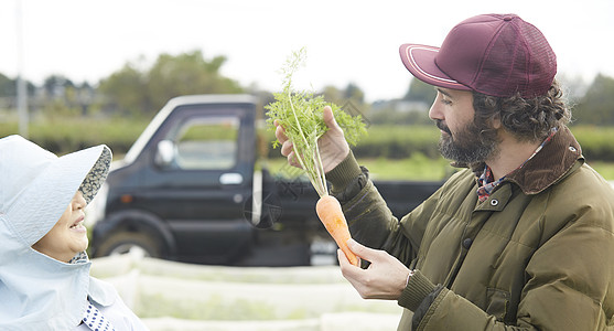 收获胡萝卜的农民妇女和外国人图片素材